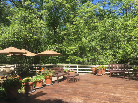 The Jack London Lodge - Deck