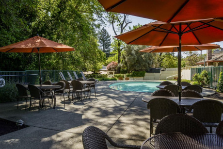 The Jack London Lodge - Sitting Area